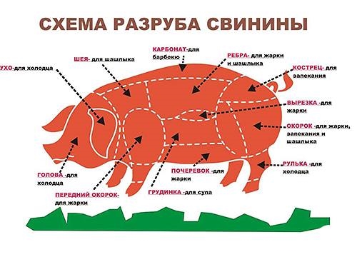 Як правильно вибрати м'ясо тварин і птиці - ці способи ще не підводили