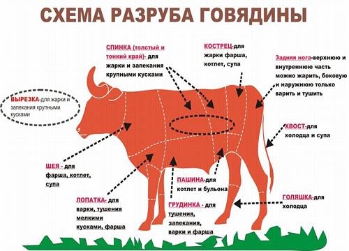 Як правильно вибрати м'ясо тварин і птиці - ці способи ще не підводили