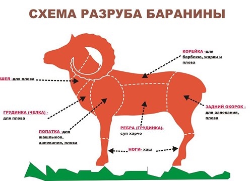 Рекомендації щодо приготування м'яса